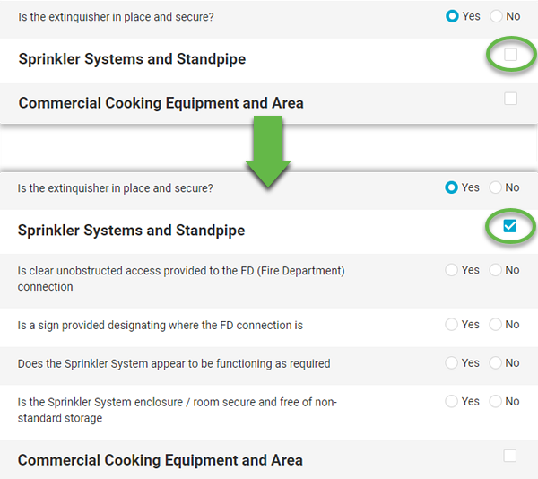 Conditional questions